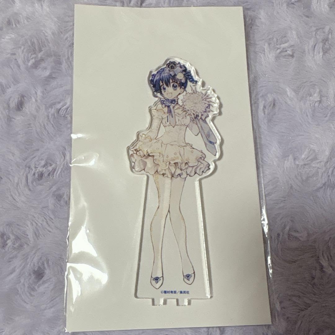 美術品 雲華焼火入一双 浅尾宗筌造 茶道具